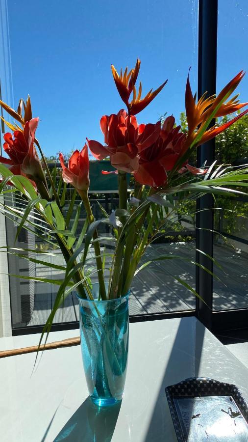 Plumeria holidays Saint Pierre Exterior foto