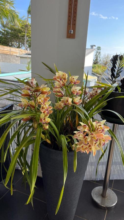 Plumeria holidays Saint Pierre Exterior foto
